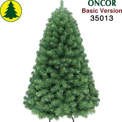 Item 35013 : 5ft Monterey Pine