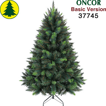 Item 37745 : 5ft Parana Pine