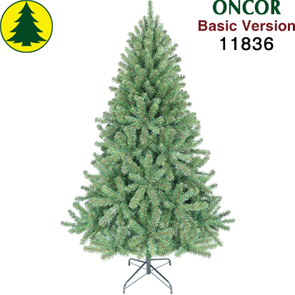 Item 11836 : 6ft Majestic Fir