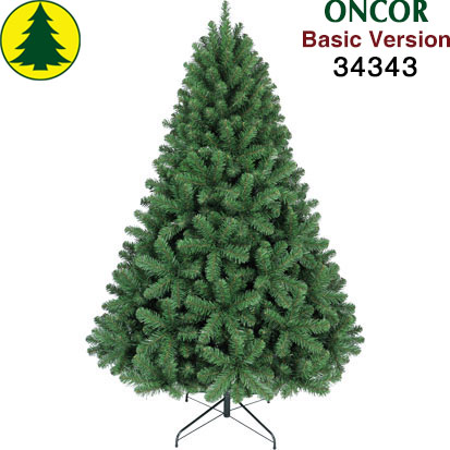 Item 34343 : 6ft Douglas Fir