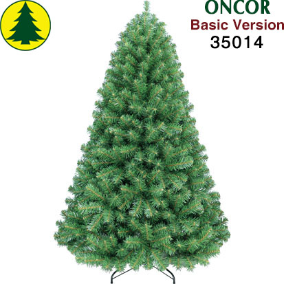 Item 35014 : 6ft Monterey Pine