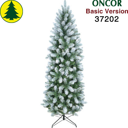 Item 37202 : 6 Ft Allegheny Slim Pine