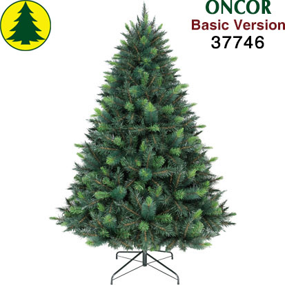 Item 37746 : 6ft Parana Pine