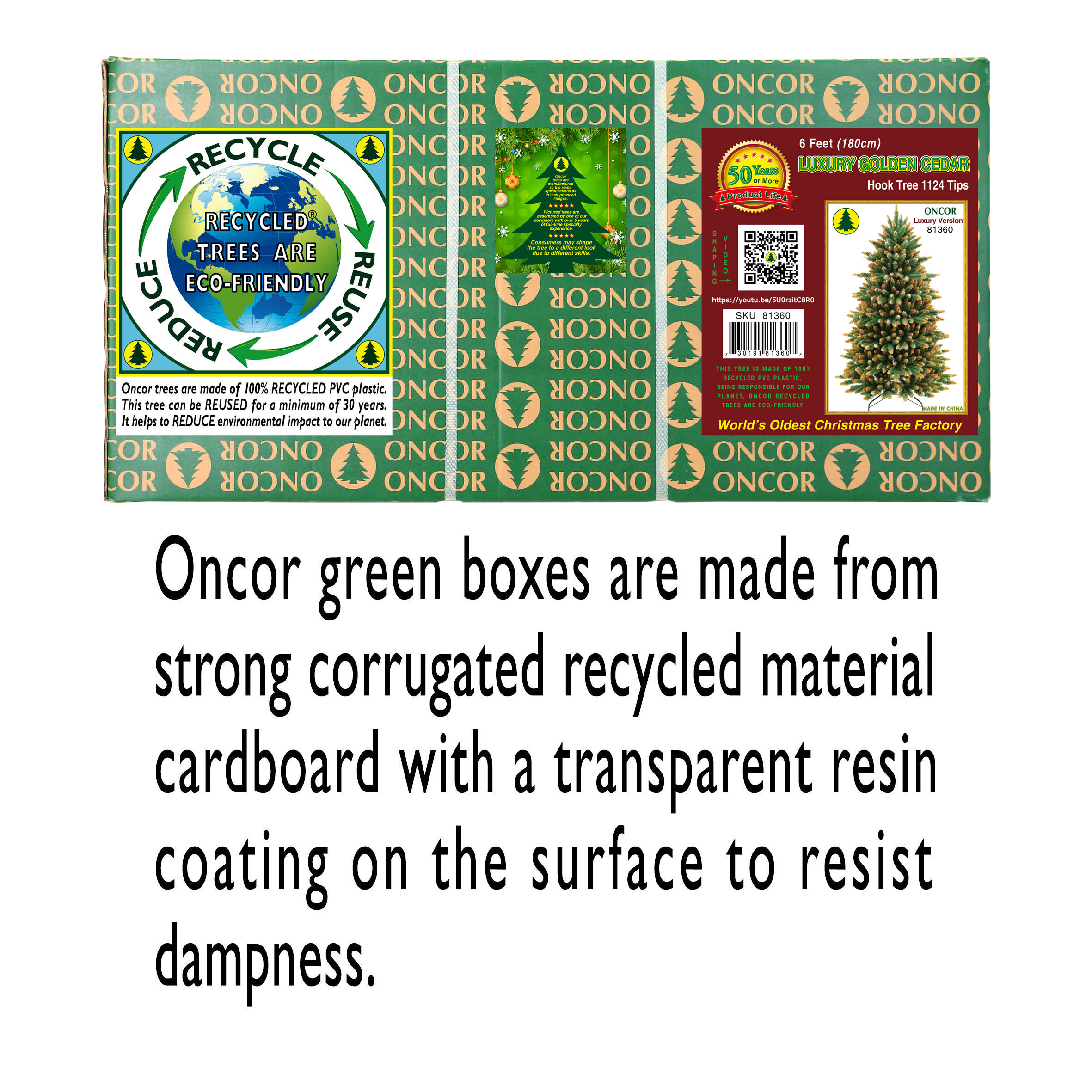 slide1_81360.jpg
