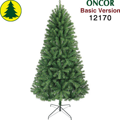Item 12170 : 7ft Canadian Pine