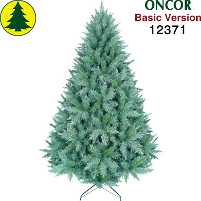 Item 12371 : 7ft Blue Spruce