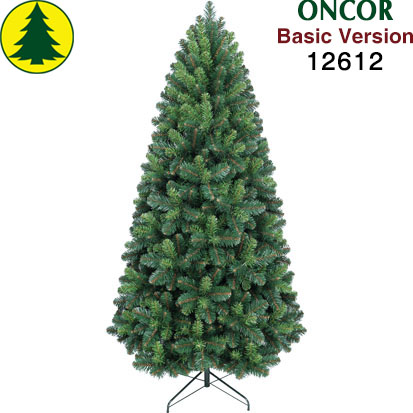 Item 12612 : 7ft Montana Spruce