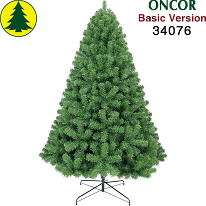 Item 34076 : 7ft Colorado Fir