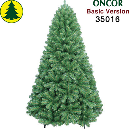 Item 35016 : 7ft Monterey Pine