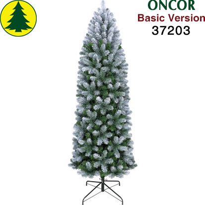 Item 37203 : 7ft Allegheny Slim Pine