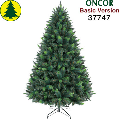 Item 37747 : 7ft Parana Pine