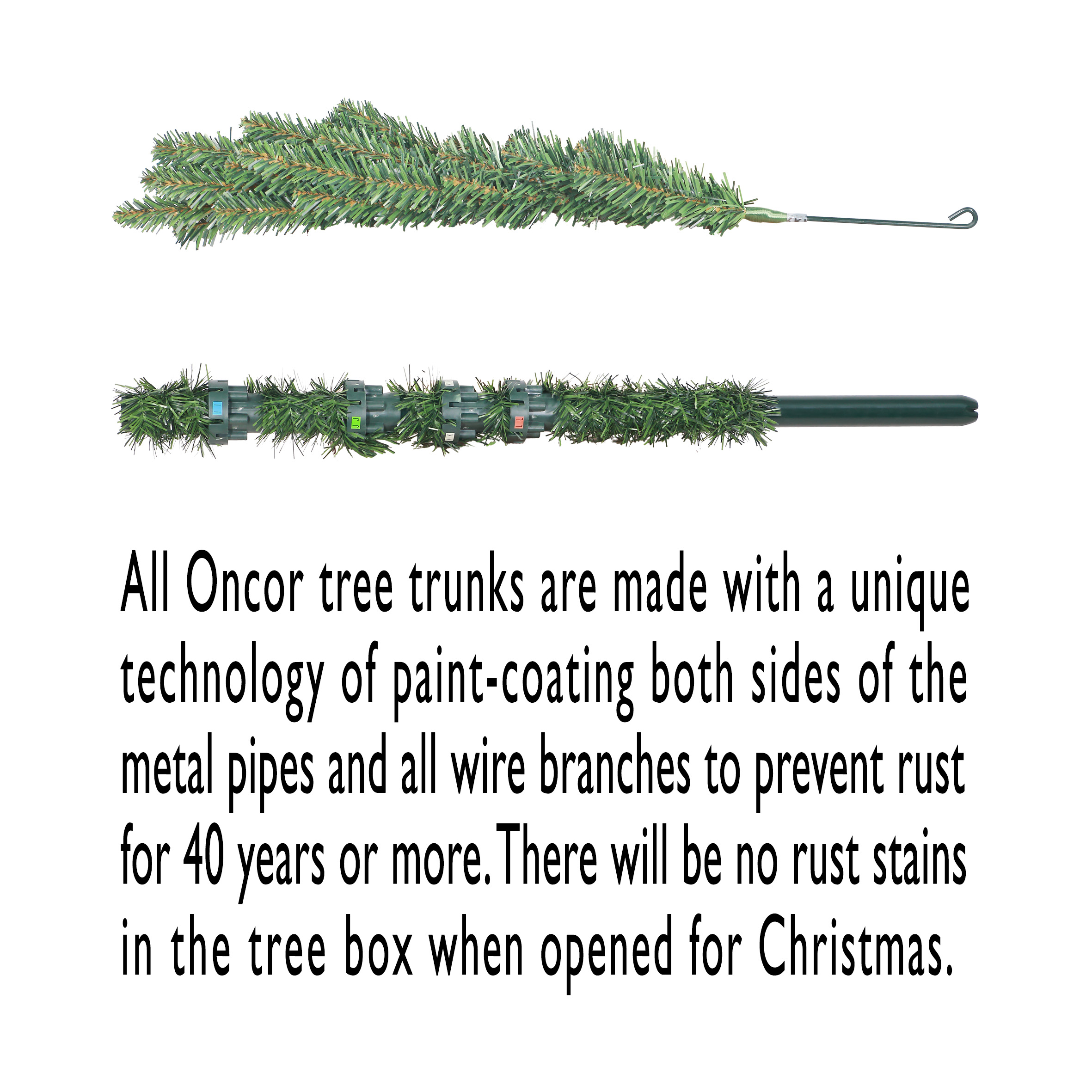 slide3_72260.jpg