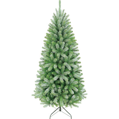 Item 72260 : 6ft Norway Spruce